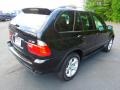 Jet Black - X5 3.0i Photo No. 6