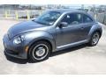Platinum Gray Metallic - Beetle 2.5L Photo No. 3