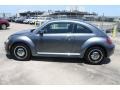 Platinum Gray Metallic - Beetle 2.5L Photo No. 5