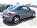 Platinum Gray Metallic - Beetle 2.5L Photo No. 8