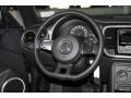 Platinum Gray Metallic - Beetle 2.5L Photo No. 16
