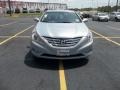Iridescent Silver Blue Pearl - Sonata SE Photo No. 1