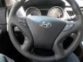 2013 Iridescent Silver Blue Pearl Hyundai Sonata SE  photo #10