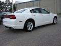 Bright White - Charger SE Photo No. 5