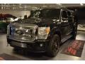 2005 Black Ford Excursion XLT  photo #40