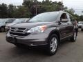 2010 Urban Titanium Metallic Honda CR-V EX-L AWD  photo #5