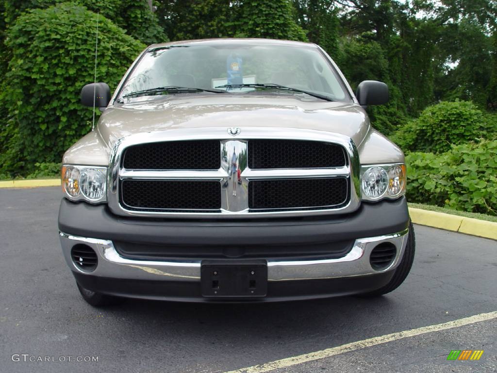 2004 Ram 1500 ST Regular Cab - Light Almond Pearl / Taupe photo #8