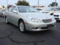 Millennium Silver Metallic - ES 330 Photo No. 1