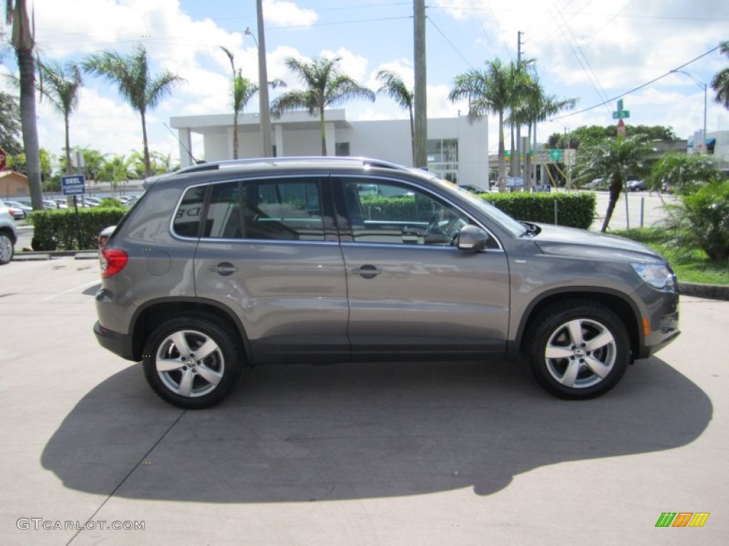 2010 Tiguan Wolfsburg Edition - Alpine Grey Metallic / Charcoal photo #6