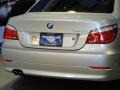 2010 Titanium Silver Metallic BMW 5 Series 528i xDrive Sedan  photo #9