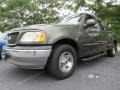 Estate Green Metallic 2002 Ford F150 XLT SuperCab