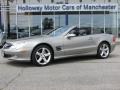 Pewter Silver Metallic - SL 500 Roadster Photo No. 5