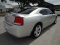 Bright Silver Metallic - Charger R/T Photo No. 8