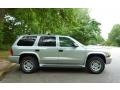 2003 Bright Silver Metallic Dodge Durango SLT 4x4  photo #10