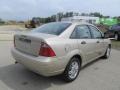 Pueblo Gold Metallic - Focus ZX4 SE Sedan Photo No. 15