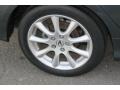 Carbon Gray Pearl - TSX Sedan Photo No. 17