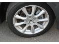 Carbon Gray Pearl - TSX Sedan Photo No. 19