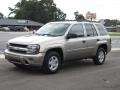 Light Pewter Metallic - TrailBlazer LS Photo No. 2