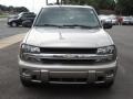 Light Pewter Metallic - TrailBlazer LS Photo No. 3