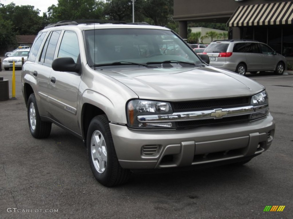 2002 TrailBlazer LS - Light Pewter Metallic / Dark Pewter photo #4