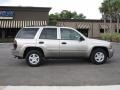 Light Pewter Metallic - TrailBlazer LS Photo No. 5
