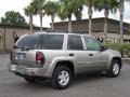 Light Pewter Metallic - TrailBlazer LS Photo No. 6
