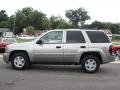 Light Pewter Metallic - TrailBlazer LS Photo No. 11