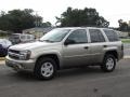 Light Pewter Metallic - TrailBlazer LS Photo No. 12