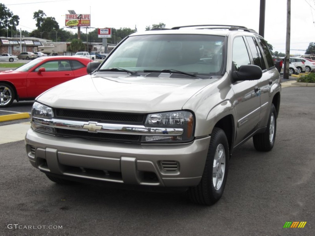 2002 TrailBlazer LS - Light Pewter Metallic / Dark Pewter photo #13