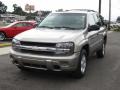 Light Pewter Metallic - TrailBlazer LS Photo No. 13