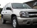 Light Pewter Metallic - TrailBlazer LS Photo No. 14