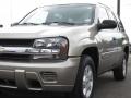 Light Pewter Metallic - TrailBlazer LS Photo No. 15