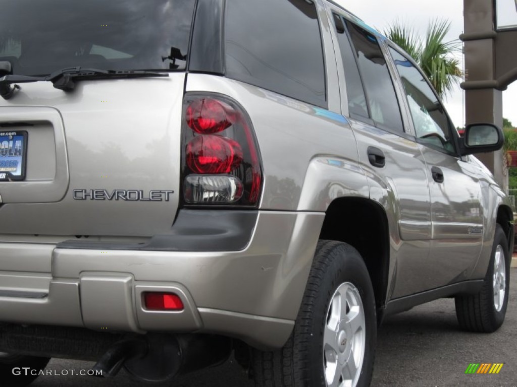 2002 TrailBlazer LS - Light Pewter Metallic / Dark Pewter photo #16