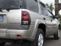 Light Pewter Metallic - TrailBlazer LS Photo No. 16