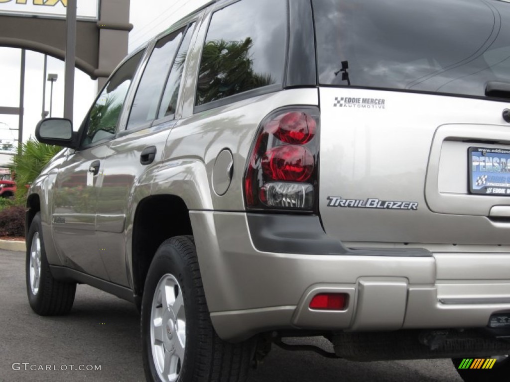 2002 TrailBlazer LS - Light Pewter Metallic / Dark Pewter photo #17