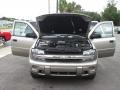 Light Pewter Metallic - TrailBlazer LS Photo No. 18