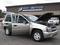 Light Pewter Metallic - TrailBlazer LS Photo No. 19