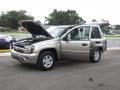 Light Pewter Metallic - TrailBlazer LS Photo No. 25