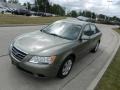 Willow Gray - Sonata GLS Photo No. 7