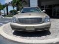Light Cashmere - DeVille Sedan Photo No. 2