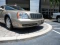Light Cashmere - DeVille Sedan Photo No. 10