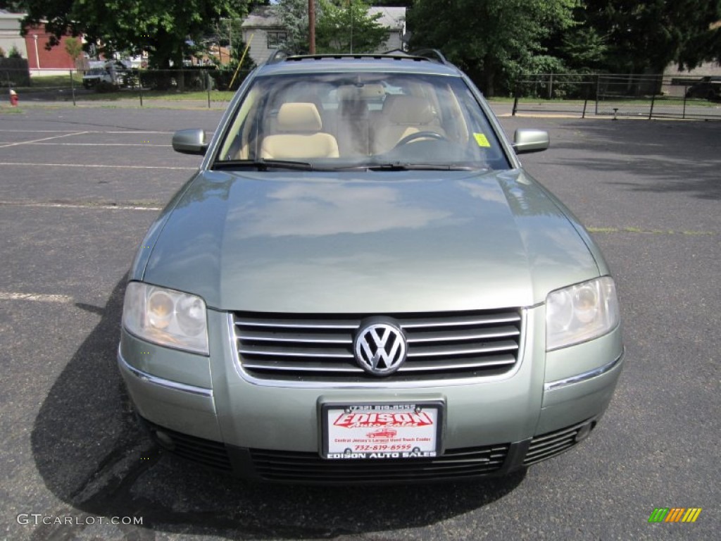 2004 Passat GLX 4Motion Wagon - Fresco Green Metallic / Beige photo #12