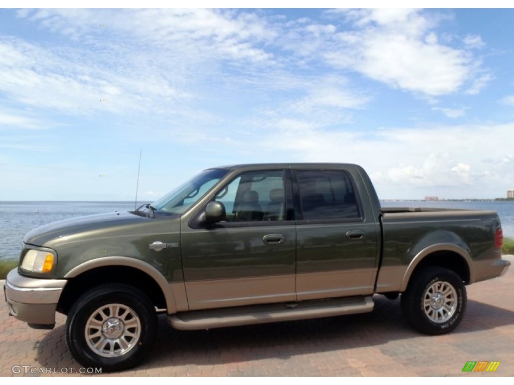 Estate Green Metallic 2002 Ford F150 King Ranch SuperCrew 4x4 Exterior Photo #68364037