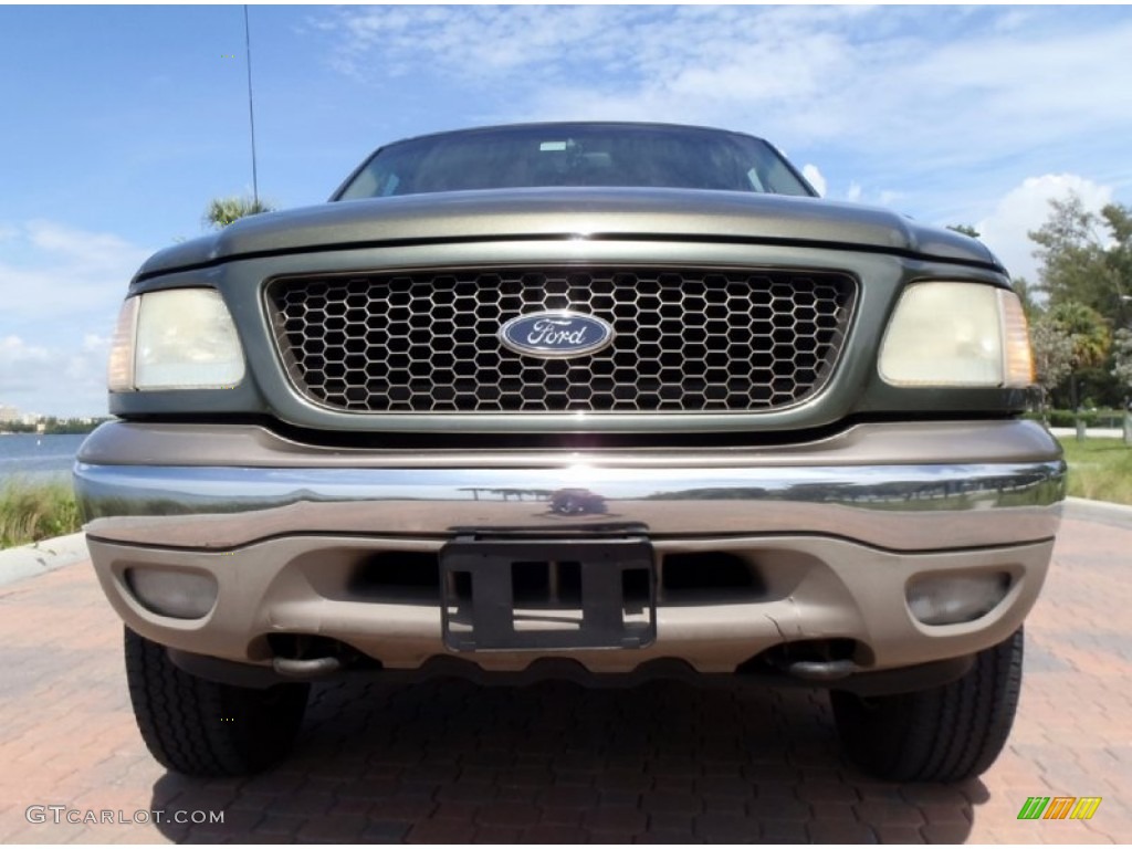 2002 F150 King Ranch SuperCrew 4x4 - Estate Green Metallic / Castano Brown Leather photo #10