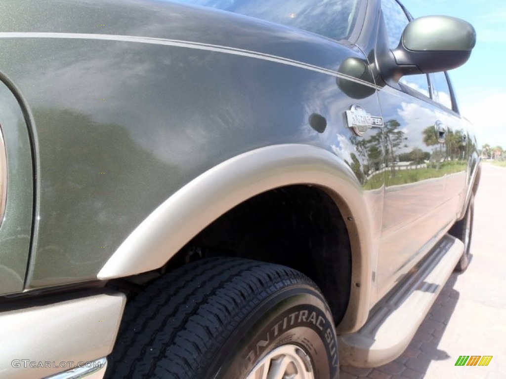 2002 F150 King Ranch SuperCrew 4x4 - Estate Green Metallic / Castano Brown Leather photo #15