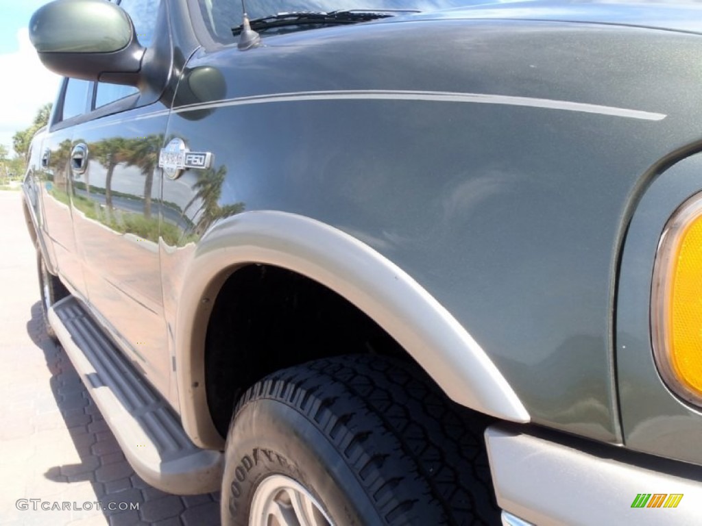 2002 F150 King Ranch SuperCrew 4x4 - Estate Green Metallic / Castano Brown Leather photo #16