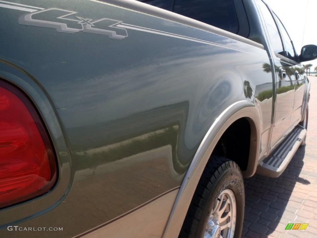 2002 F150 King Ranch SuperCrew 4x4 - Estate Green Metallic / Castano Brown Leather photo #17