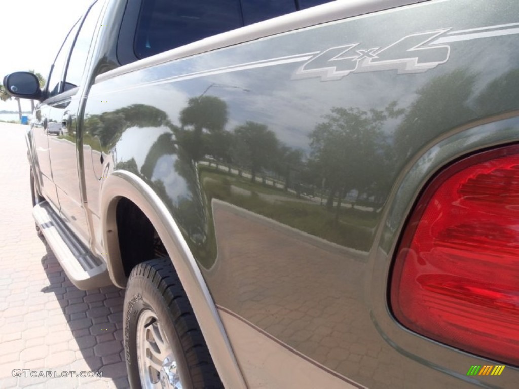 2002 F150 King Ranch SuperCrew 4x4 - Estate Green Metallic / Castano Brown Leather photo #18