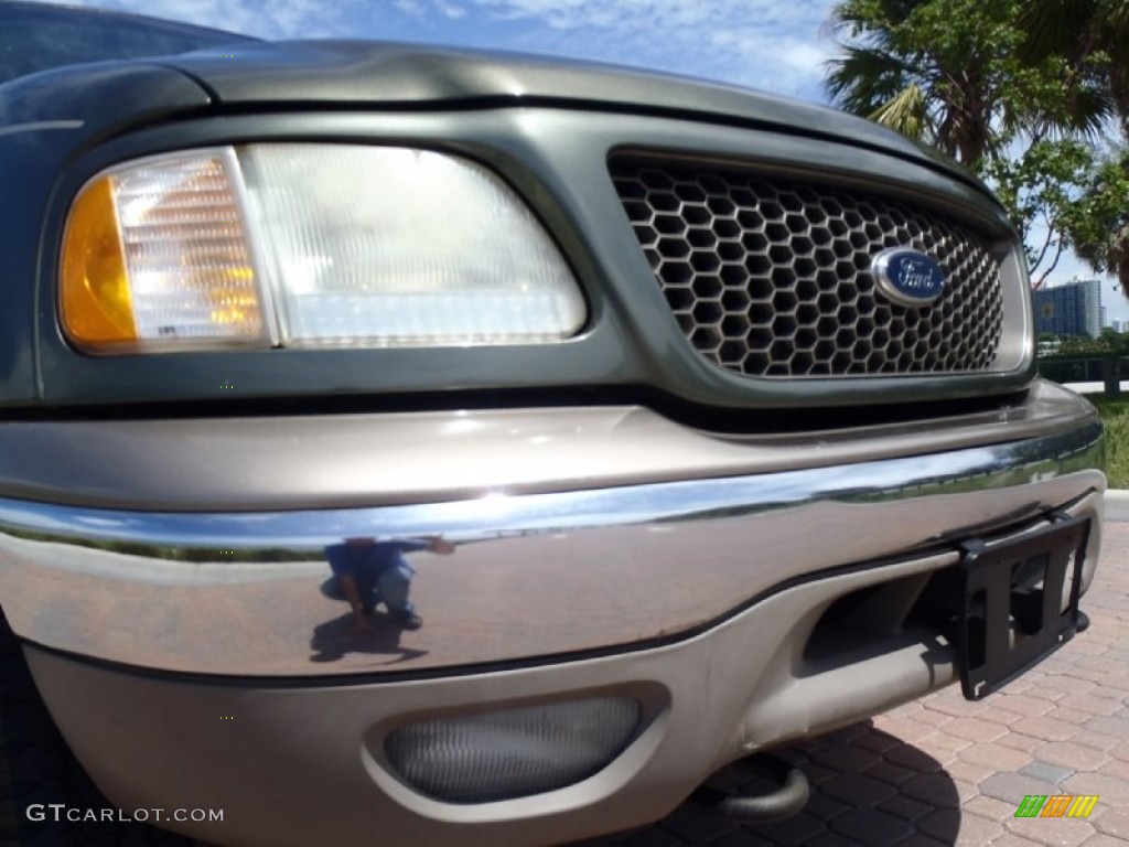 2002 F150 King Ranch SuperCrew 4x4 - Estate Green Metallic / Castano Brown Leather photo #19