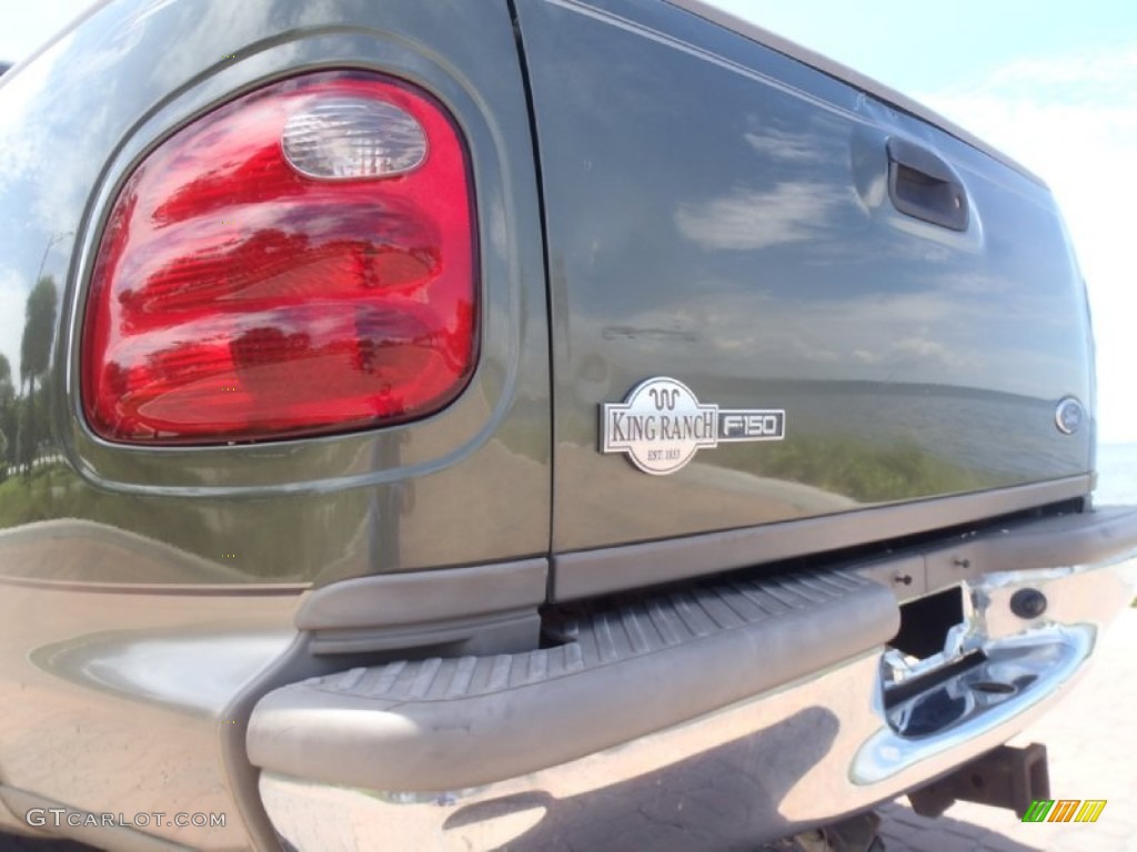 2002 F150 King Ranch SuperCrew 4x4 - Estate Green Metallic / Castano Brown Leather photo #21